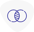 Support - Projects
